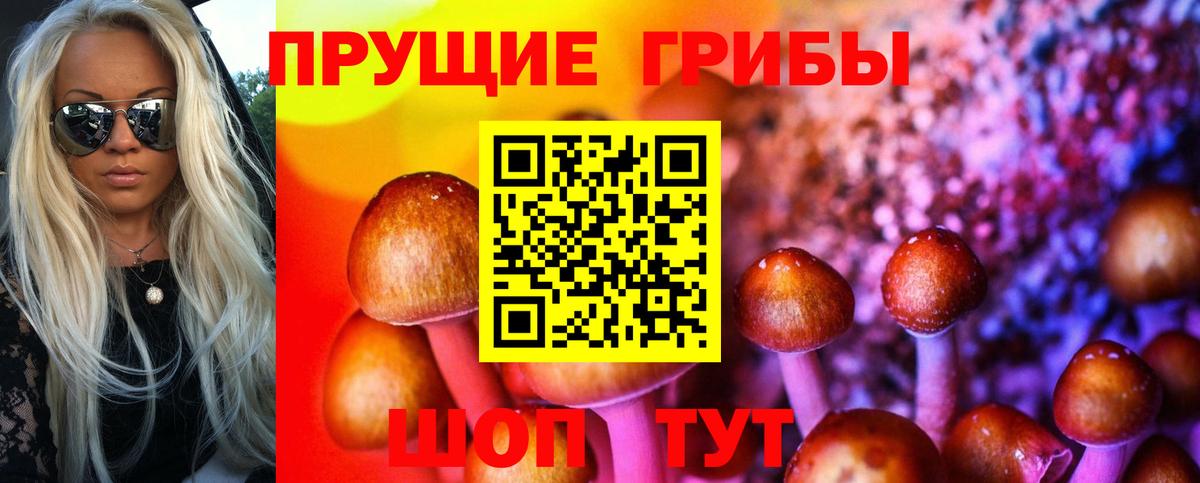 Псилоцибиновые грибы прущие грибы Новороссийск