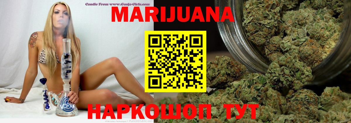 МАРИХУАНА ГИДРОПОН  Вход с VPN  Каннабис планчик  Новороссийск  Каннабис OG Kush 